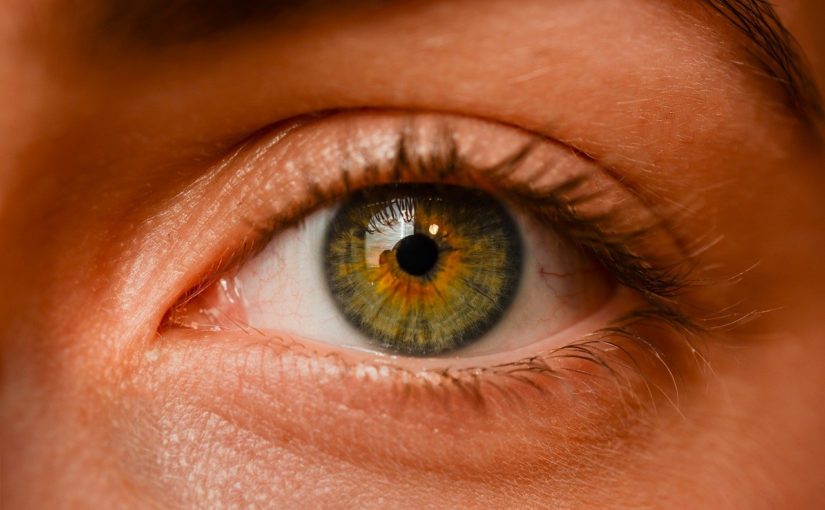 Oczy to niezwykły organ. To właśnie dzięki nim rozróżniamy.